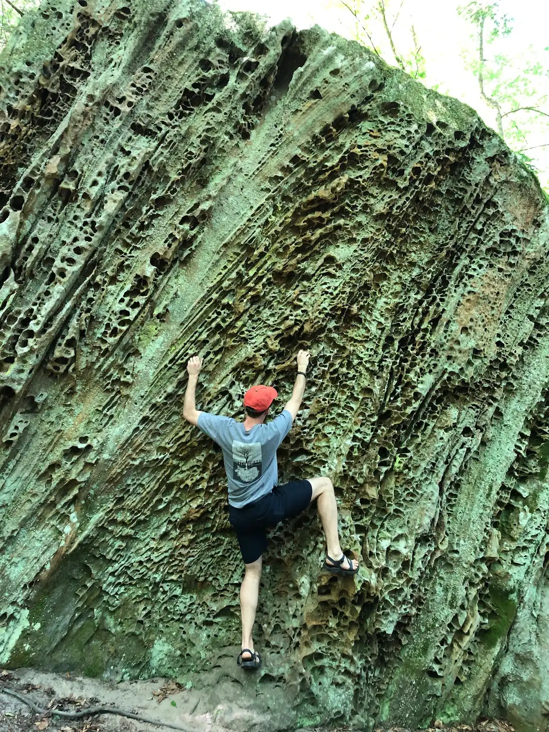Zachary bouldering on a honeycombed sandstone wall in the woods